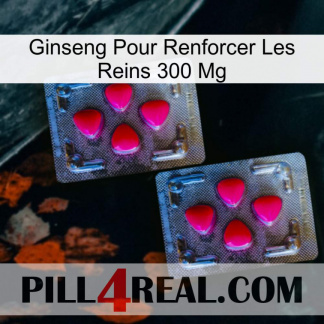 Ginseng For Reinforcing Kidney 300 Mg 14
